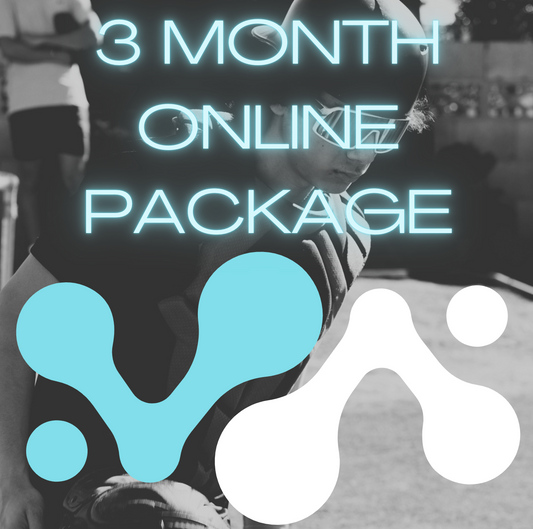 3 MONTH ONLINE PACKAGE