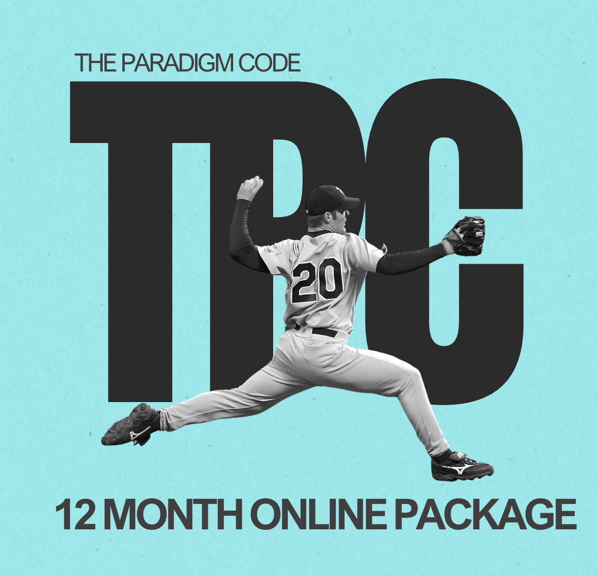 12 MONTH ONLINE PACKAGE