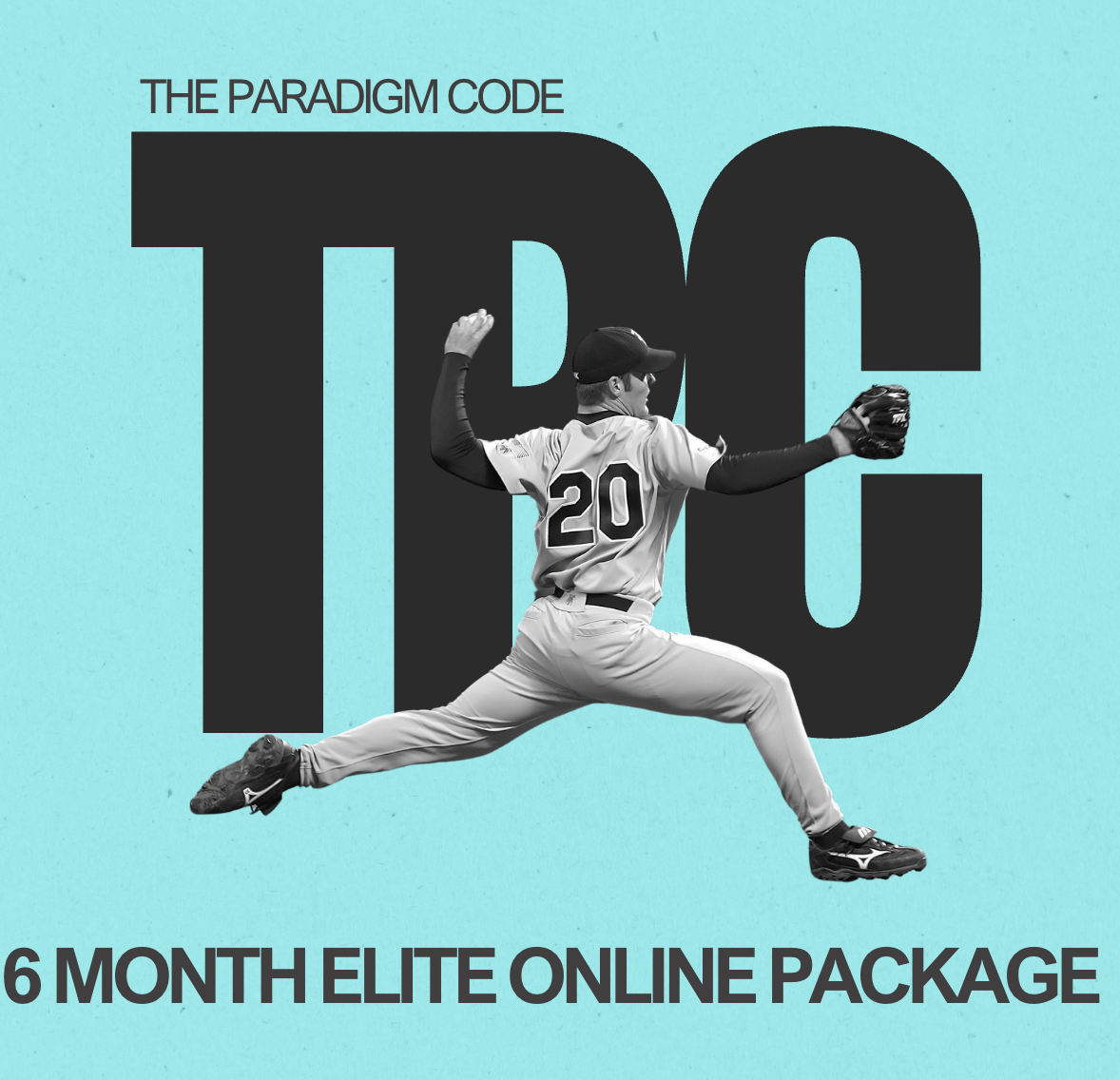 6 MONTH ELITE ONLINE PACKAGE