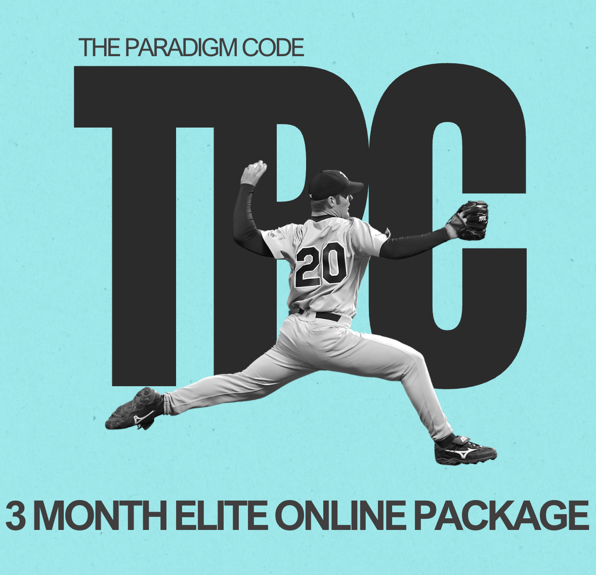3 MONTH ELITE ONLINE PACKAGE