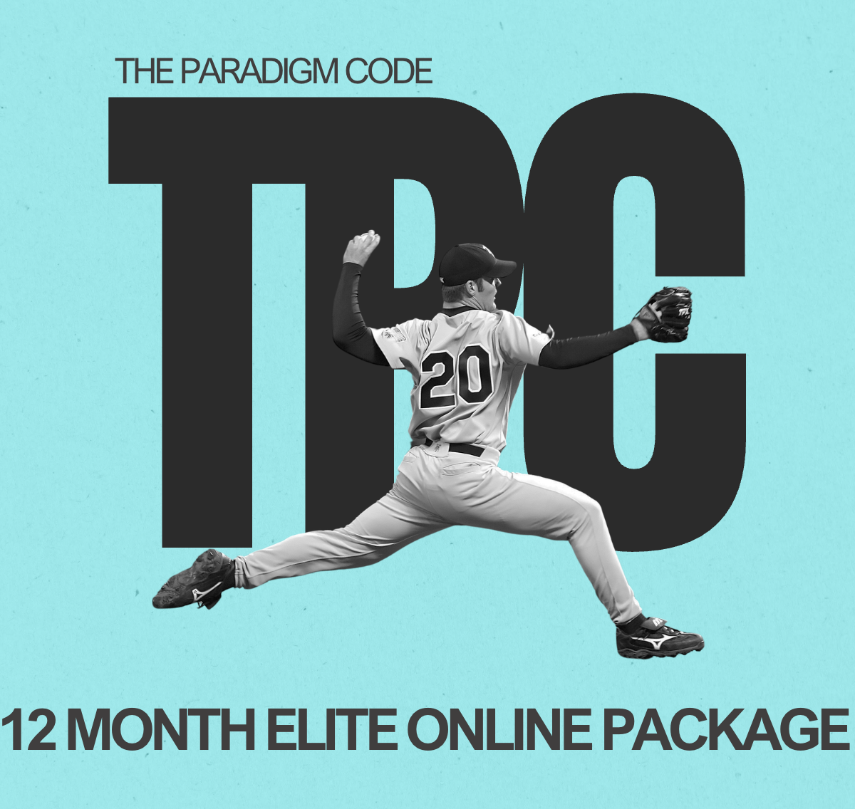 12 MONTH ELITE ONLINE PACKAGE